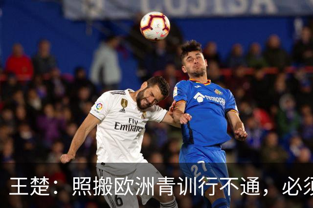 王楚：照搬欧洲青训行不通，必须培养出有自主决策能力的球员